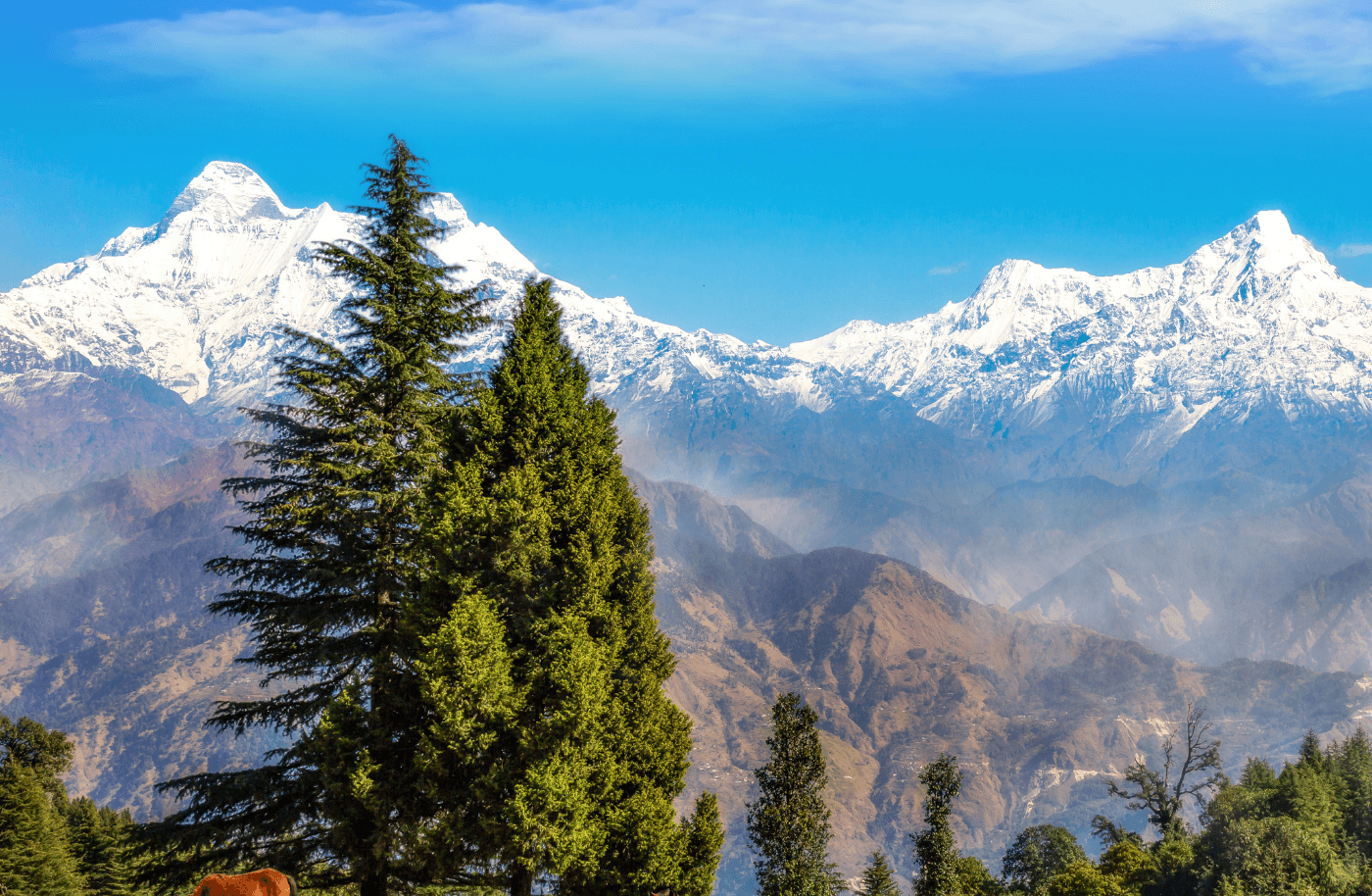 Cloud Tech Products And Solution In Uttarakhand